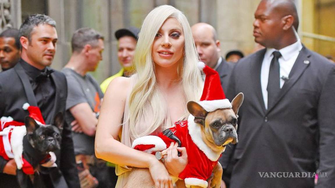 Filtran video en el que paseador de perros de Lady Gaga es baleado