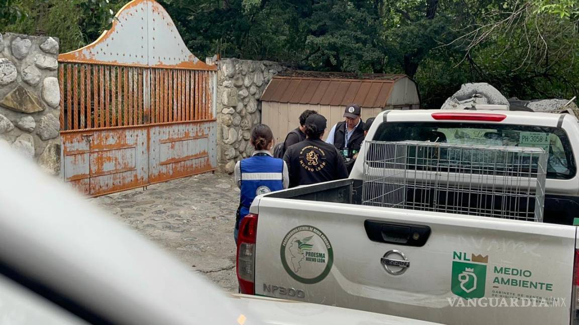 Por maltrato animal, clausuran criadero de perros en Nuevo León
