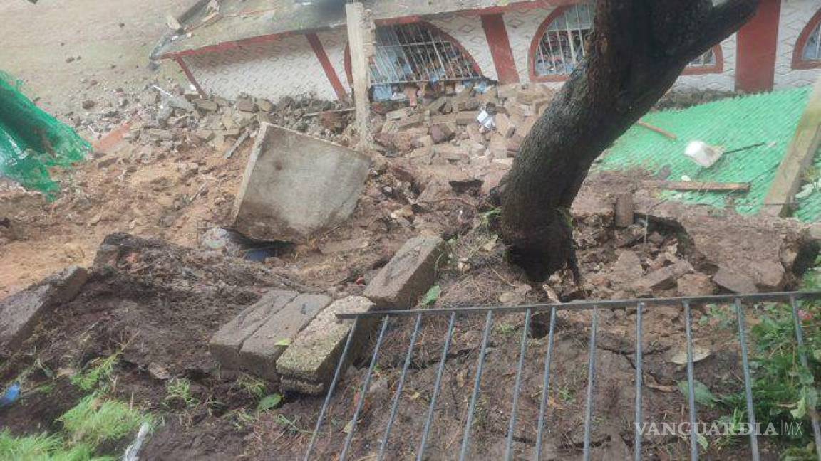 Perros quedan sepultados en refugio tras deslave de cerro en Xochimilco