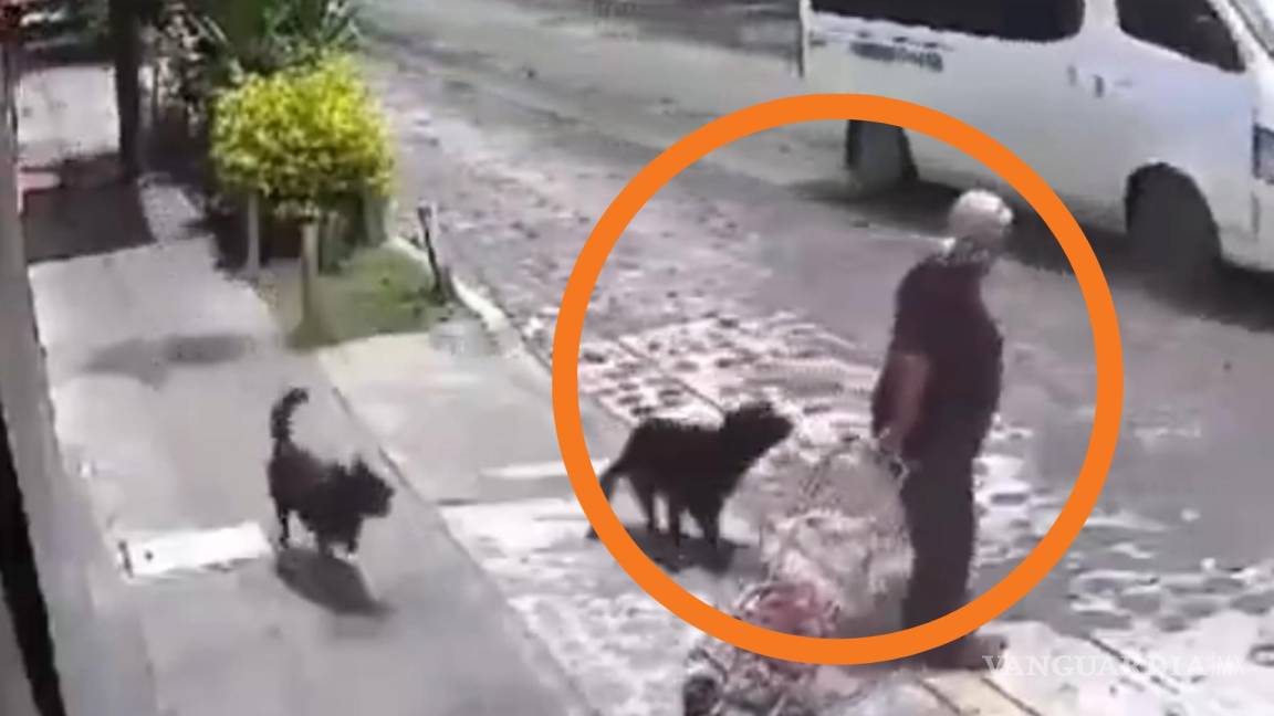 ‘¡Auxilio!’ Captan momento en que perros atacan a abuelita en Querétaro (VIDEO)