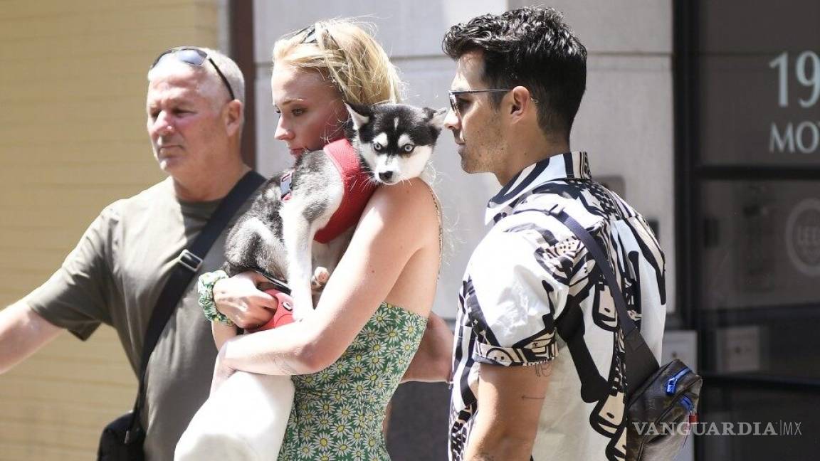 Perrito de Joe Jonas y Sophie Turner murió atropellado