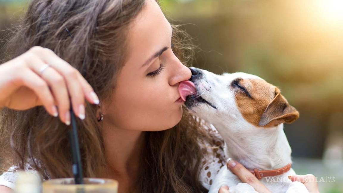 Los peligros de besar a tu perro
