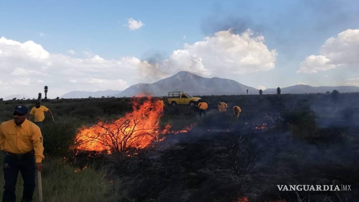 $!Varios incendios forestales se han reportado tanto en la Región Sureste como en las distintas zonas de la entidad.