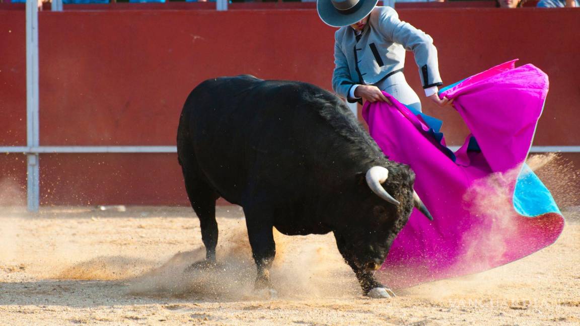 Tribunal Superior de Justicia de Coahuila determinará si prohibir corridas de toros es inconstitucional