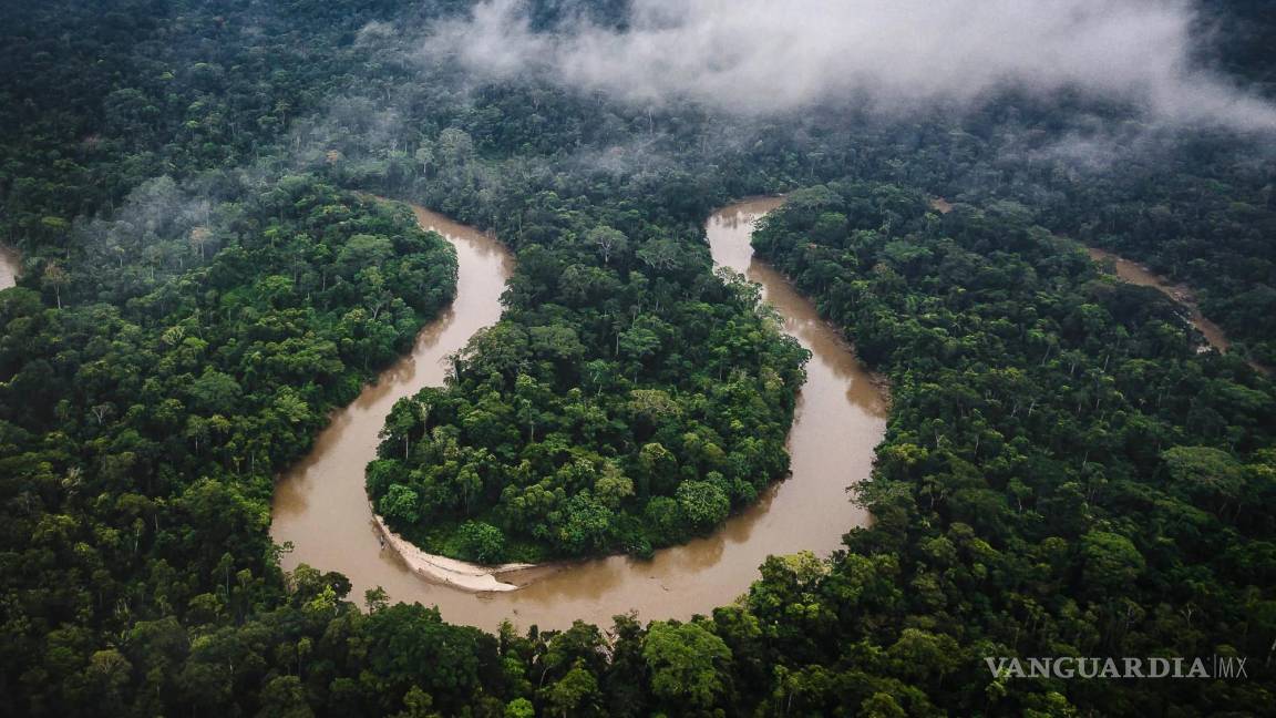 Lanza Brasil programa para restaurar áreas dañadas de la selva amazónica