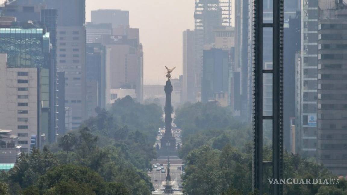 Al día mueren 57 mexicanos por contaminación