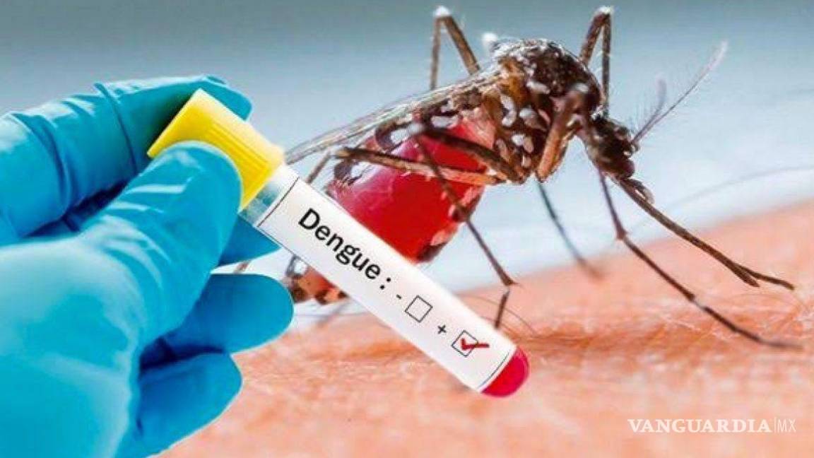 Coahuila registró más de cinco mil casos de dengue en 2024