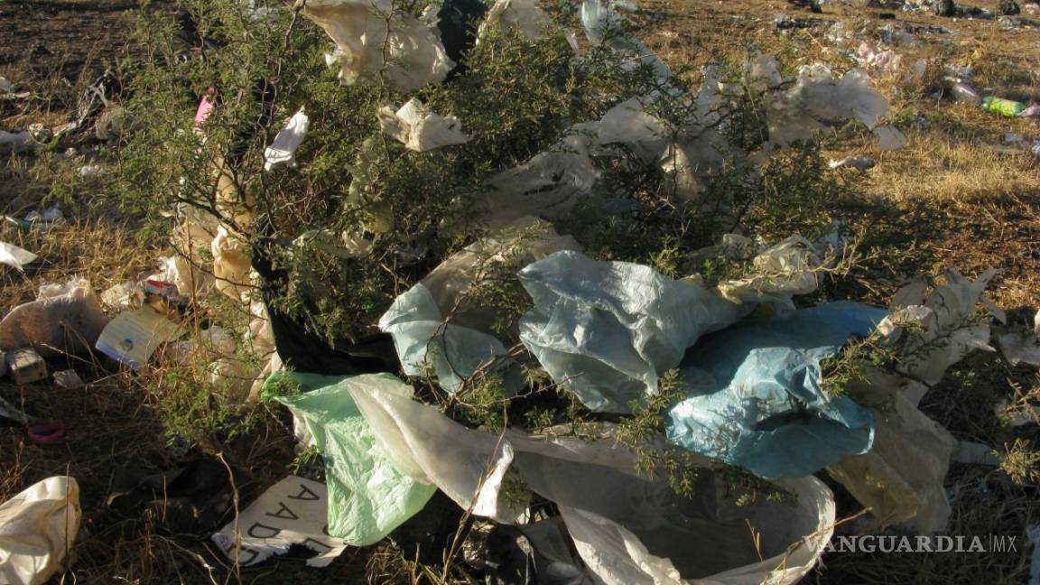 A partir de este año Tamaulipas prohíbe las bolsas de plástico