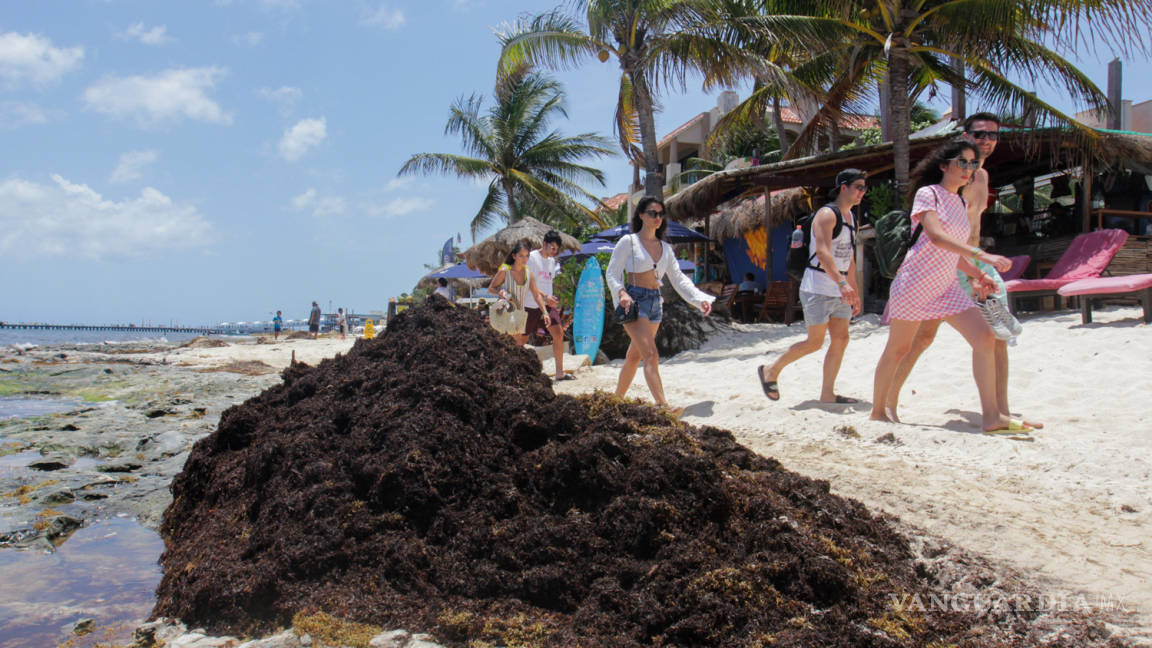 Sargazo le pegó al turismo en Quintana Roo