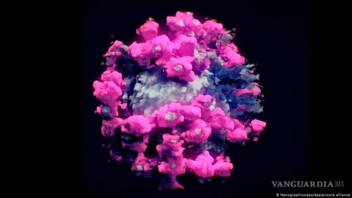 Así se ve el coronavirus... logran la primera imagen real en 3D