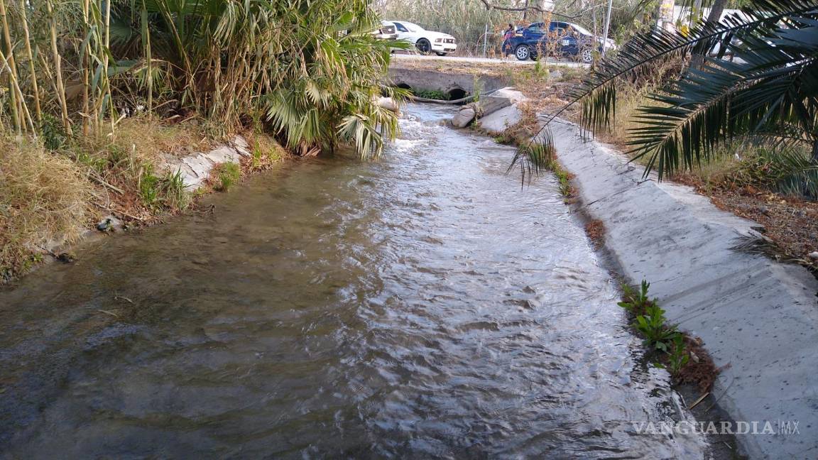 $!Campesinos de Parras se preparan para la marcha en defensa del agua este domingo.