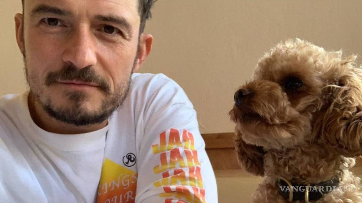 Tras buscarlo por siete días, Orlando Bloom declara que su perro Mighty falleció