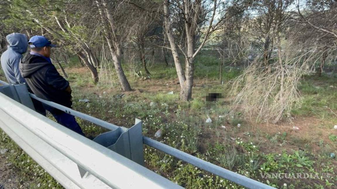 $!Dos empleados de la caseta de cobro llegaron para jalar al osezno occsiso y colocarlo fuera de la vialidad, quienes argumentaron que lo hicieron porque “se veía mal”.