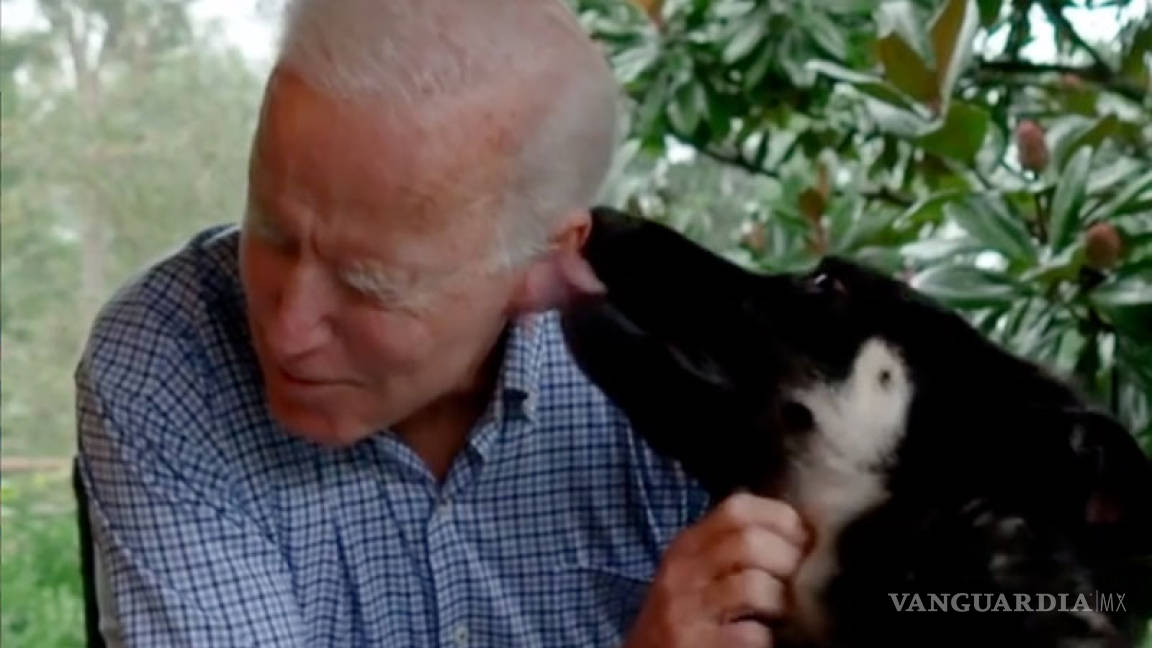 De la calle a la Casa Blanca... 'Major' la mascota rescatada por Joe Biden
