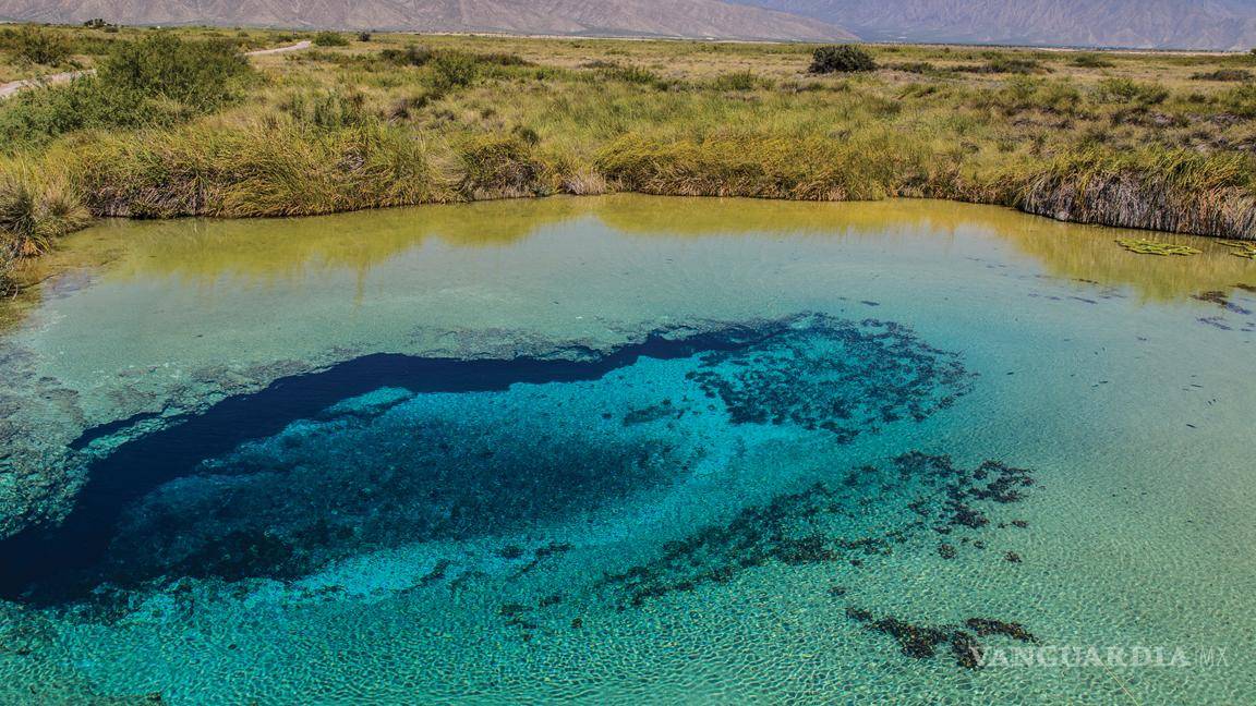 $!Coahuila... 20 datos curiosos sobre este estado que tal vez no conocías