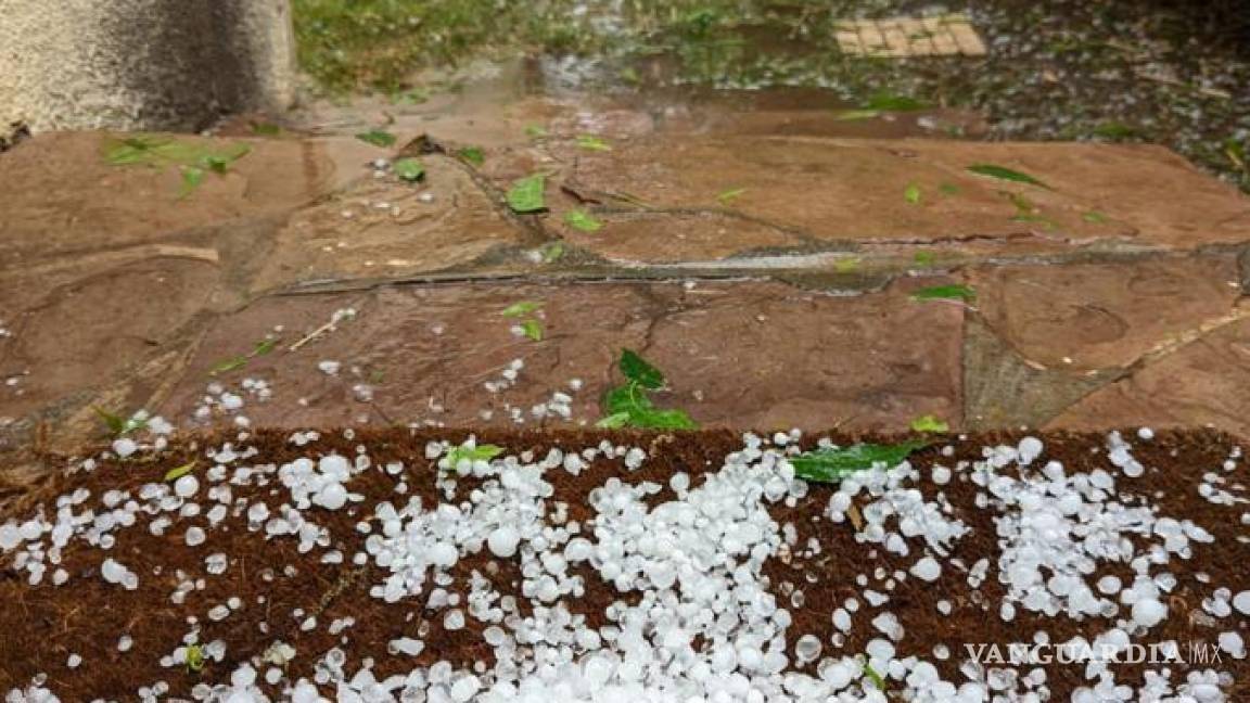 ¡Llegó el frío de los días santos! Lluvias intensas y fuertes vientos para Coahuila