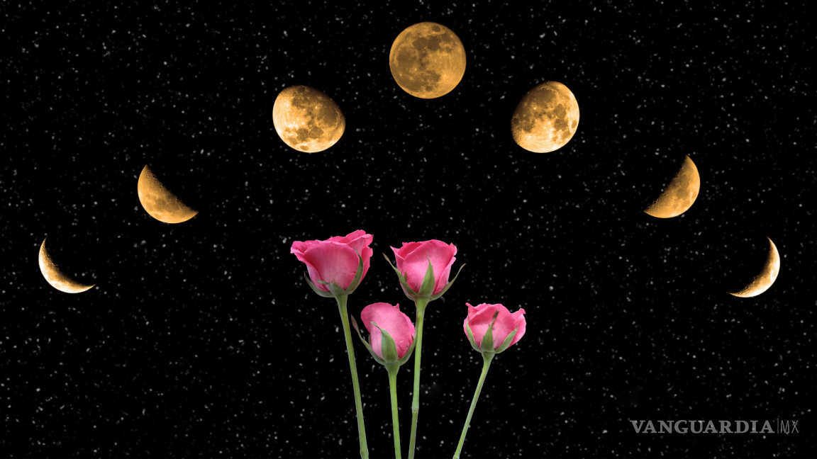 ¿Qué es la luna de las flores? Este es el calendario lunar de mayo 2024