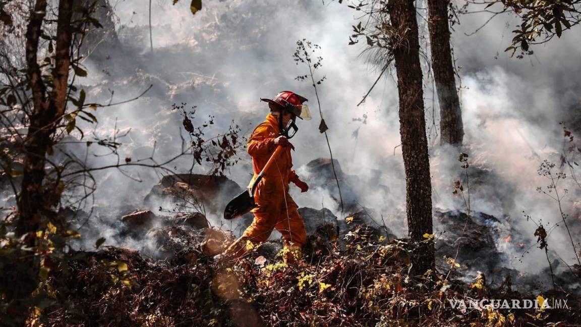 Incendios en Arteaga no afectaron reservación de cabañas en la sierra