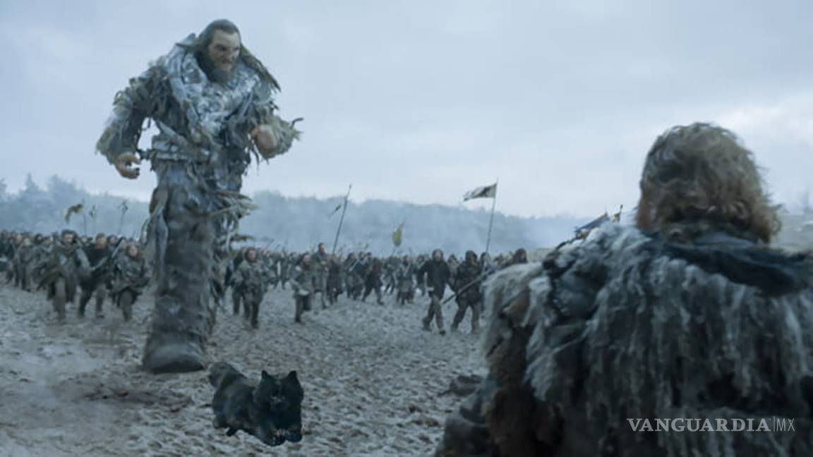 $!Gato interrumpe partido de rugby y desata batalla de memes