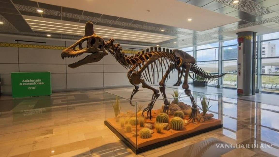 $!De acuerdo con el render, la tienda de regalos estaría acompañada por exhibiciones temáticas que buscan proyectar la identidad del museo y su vínculo con la ciencia y la divulgación.