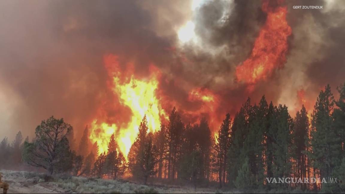 El mayor incendio activo en EU ya supera las 80 mil hectáreas calcinadas