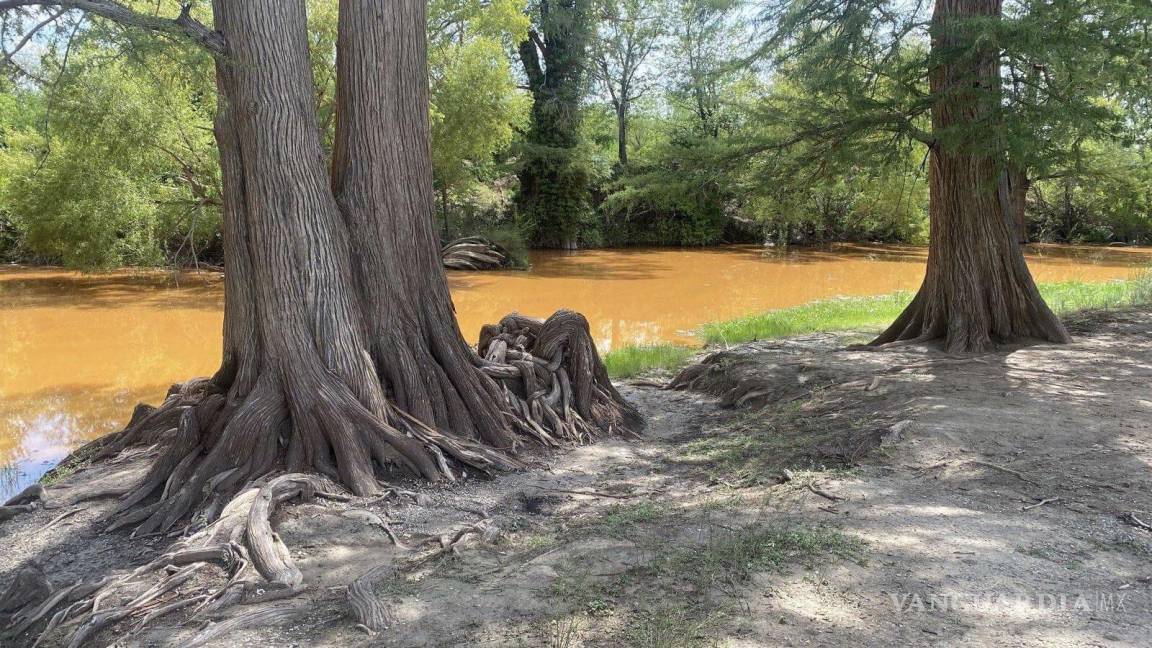 Por extracción de agua de ‘El Pinabete’ se contamina el Río Sabinas