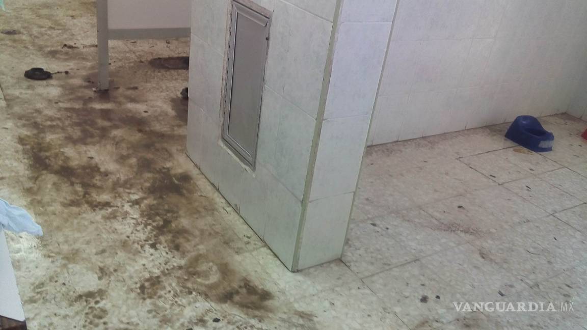 Denuncian insalubridad en baños de la guardería del IMSS Monclova