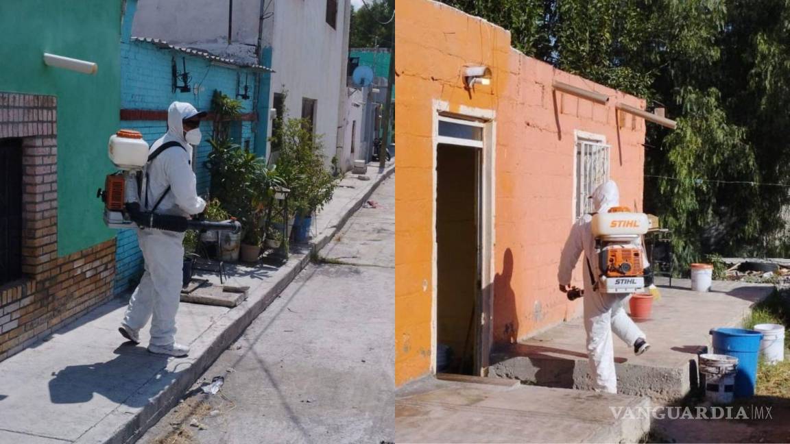 No dejes que te pique: exhorta Municipio de Saltillo a seguir medidas preventivas contra el dengue