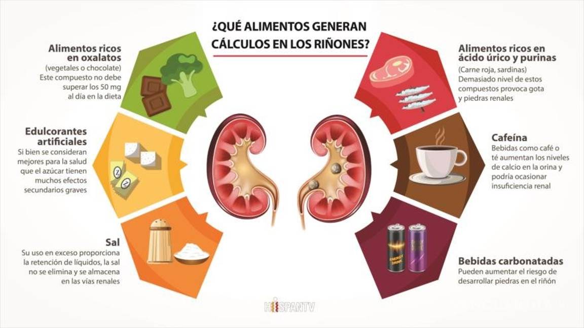 ¿Conoces la importancia de tus riñones?