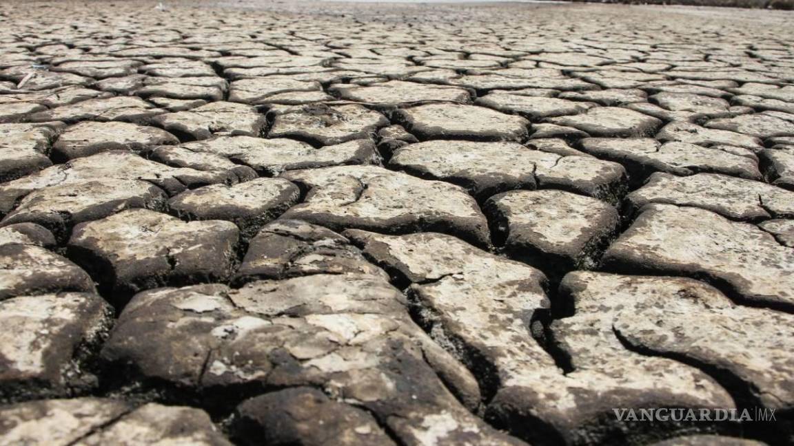 Acaba sequía con 30% de capacidad ganadera en Coahuila