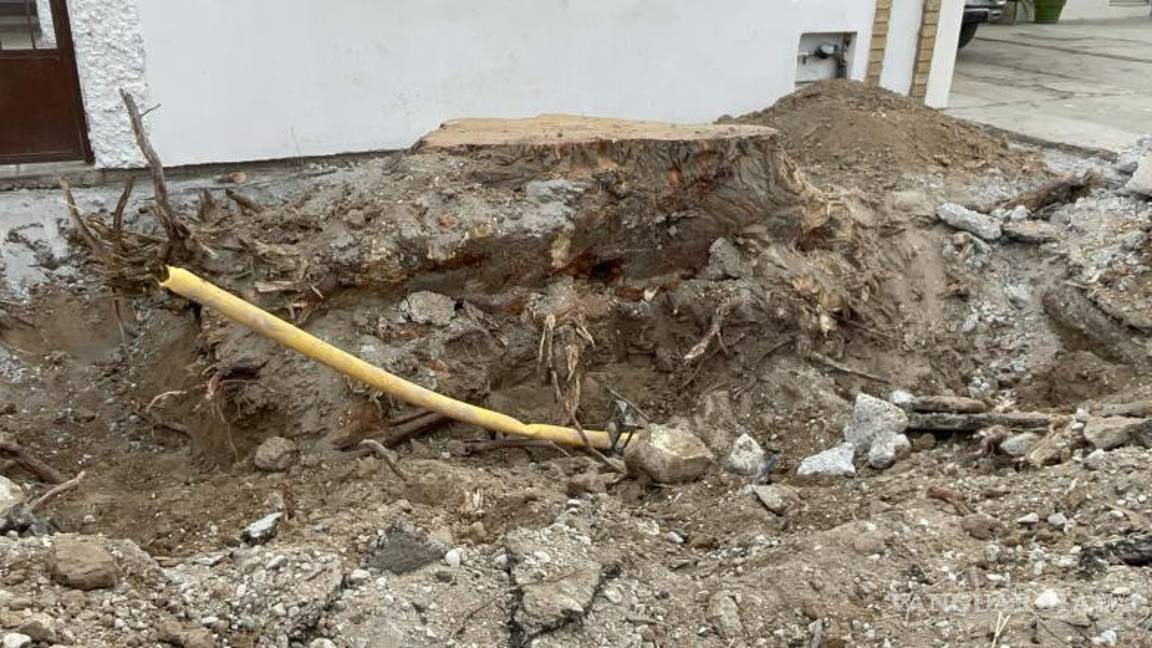 $!El propietario del domicilio, Alejandro, se mantuvo a salvo junto a los vecinos mientras los equipos de emergencia atendían la fuga.