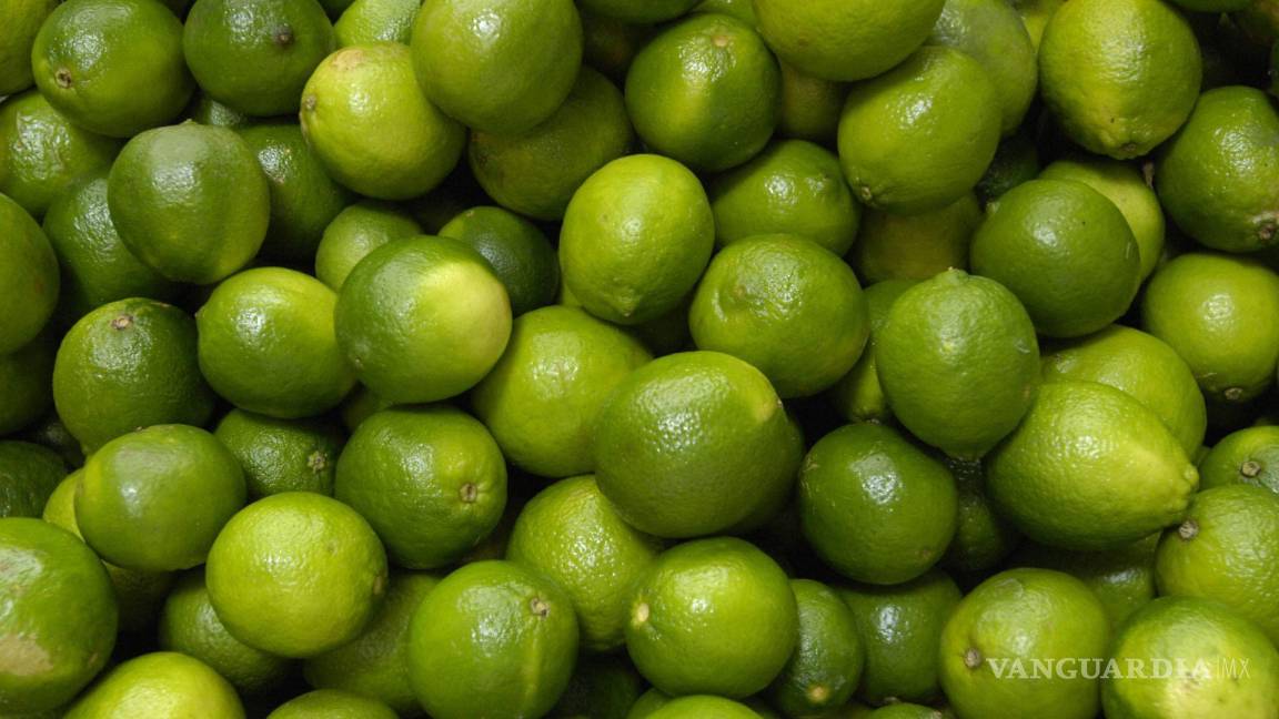 Aumenta el precio del limón en Comarca Lagunera de Coahuila; caja se comercializa en 600 pesos