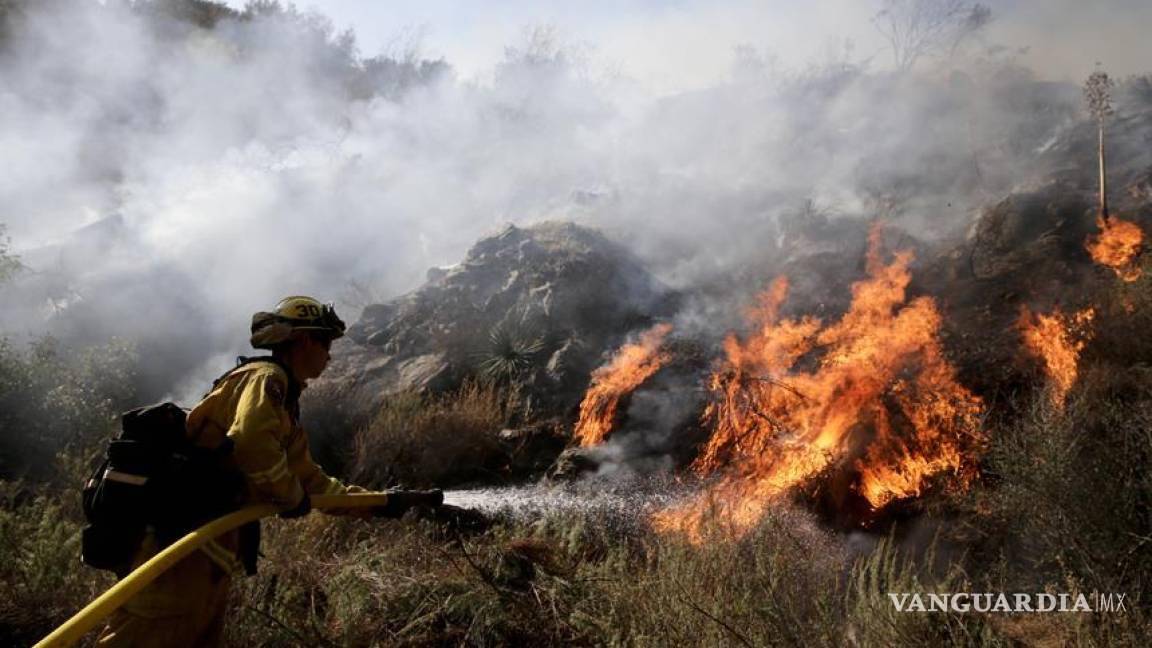Entre 2015 y 2022 se registraron 618 incendios forestales en Coahuila