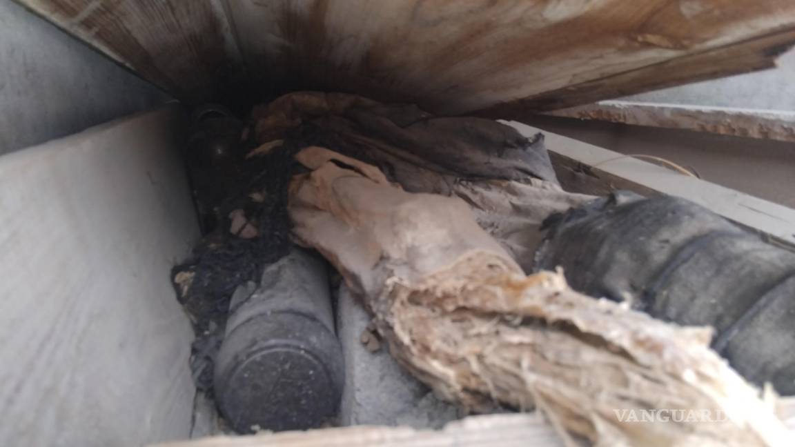 $!La falta de vigilancia nocturna en el panteón ha generado preocupación por la exposición de restos humanos.