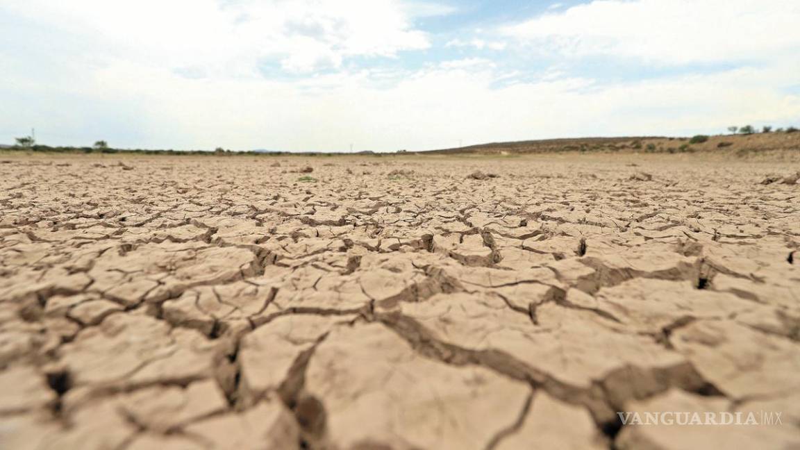 Impacta sequía al 65% de México