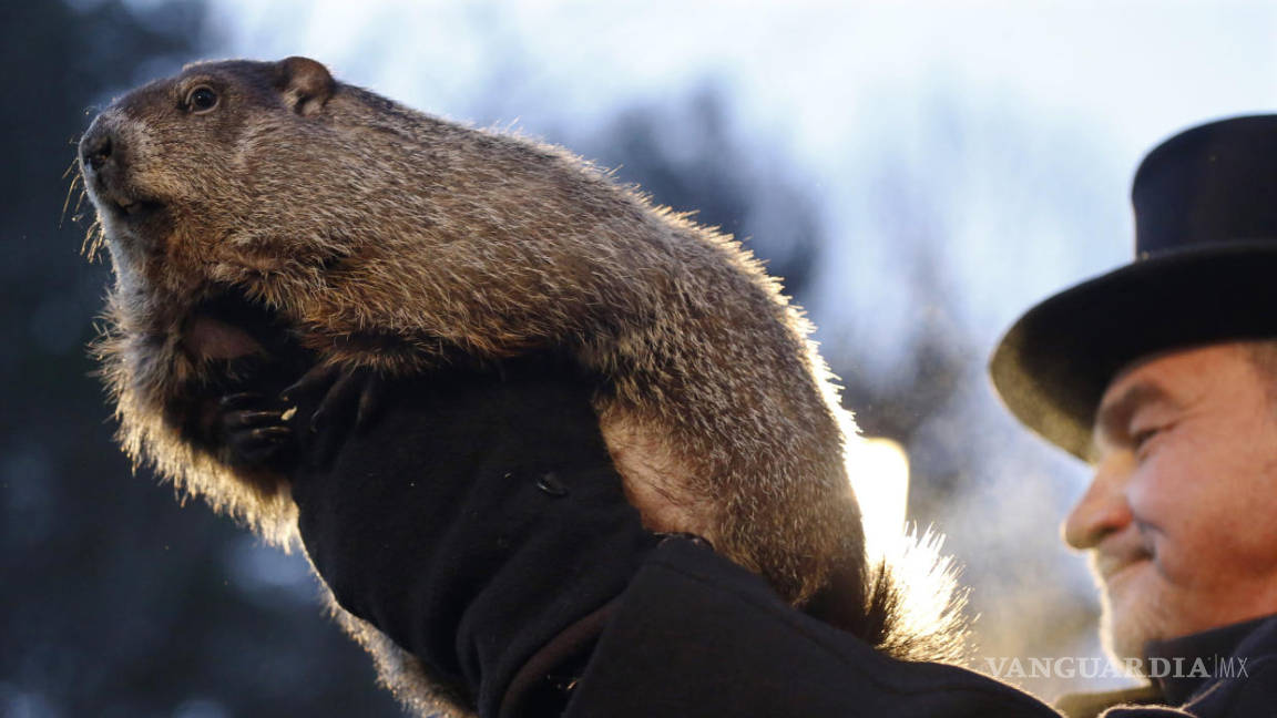 La marmota más famosa de EU predice seis semanas más de invierno