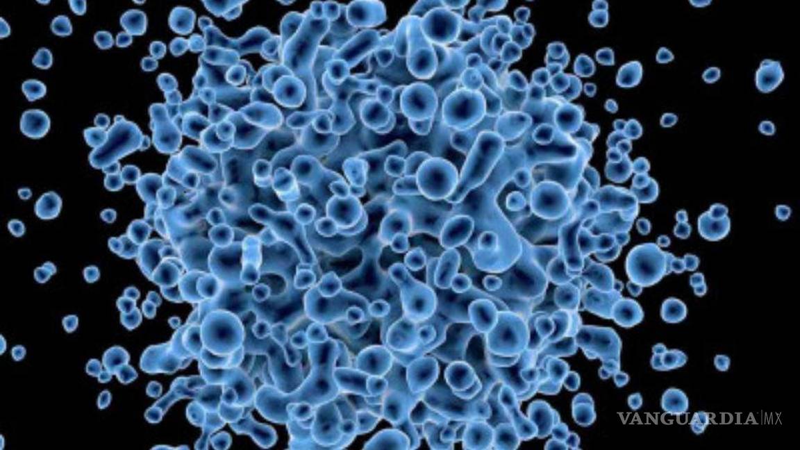 $!Viruela de Alaska tiene su primer caso mortal en humanos