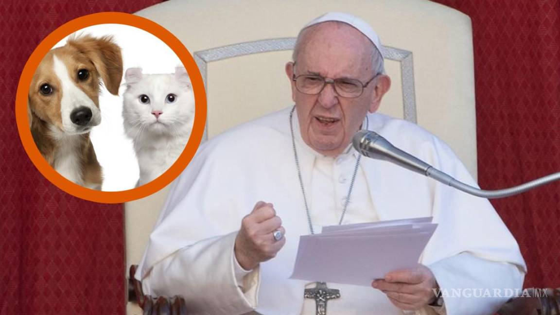 Papa Francisco se lanza contra los ‘perrhijos’... lamenta que animales domésticos remplacen a los niños