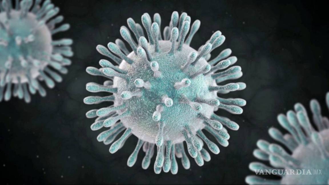 La gripe común es mucho más peligrosa que el coronavirus chino, al menos por ahora
