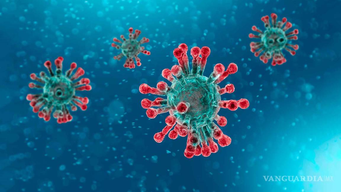 Los pacientes recuperados de coronavirus están mostrando signos de que una vacuna podría funcionar, dicen los expertos