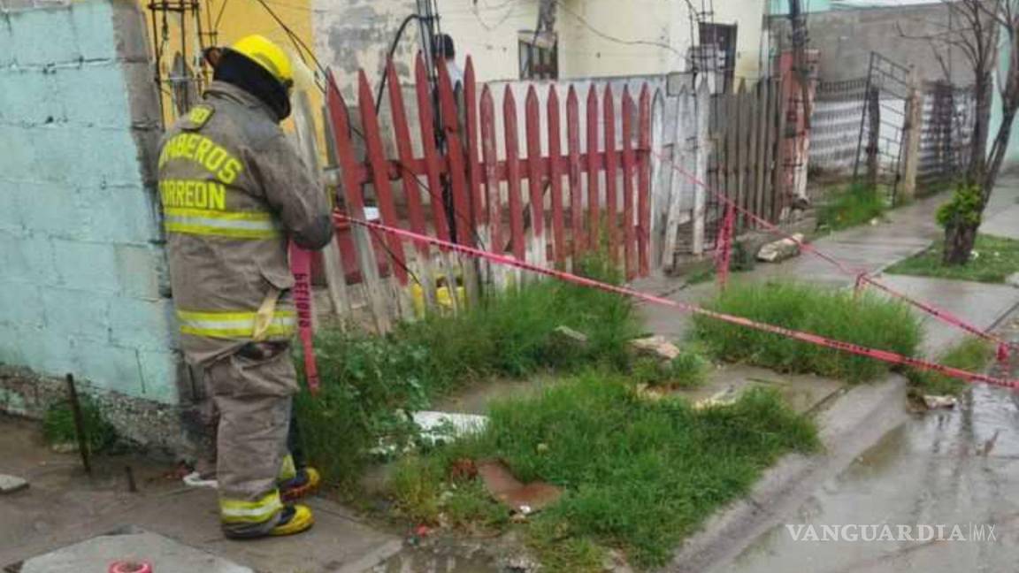 Muere perrito electrocutado al tocar unos cables expuestos en Torreón