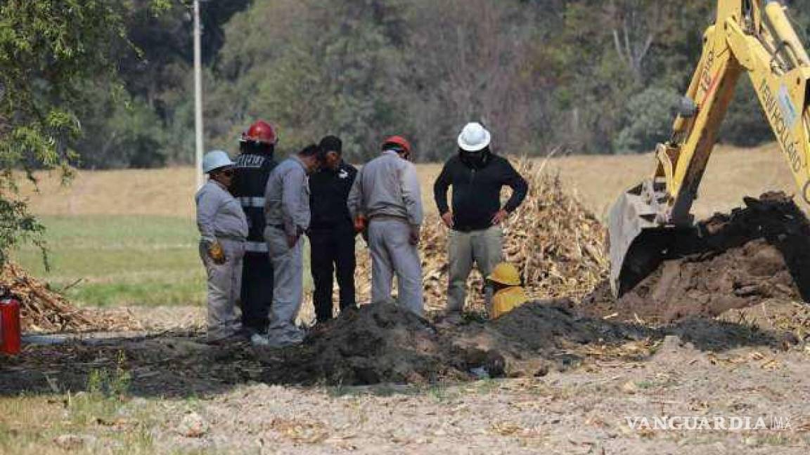 $!Las leyes federal contemplan penas por hasta ocho años de prisión.