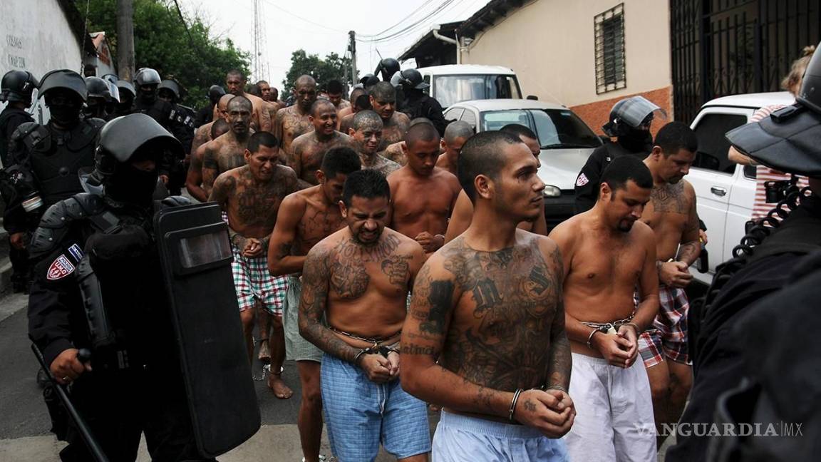 Detienen 267 pandilleros de la Mara Salvatrucha en EU y en El Salvador
