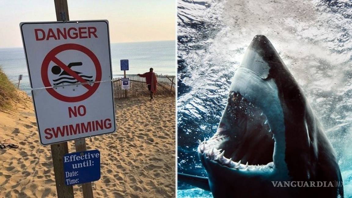 Tiburón ataca a joven en playa de California
