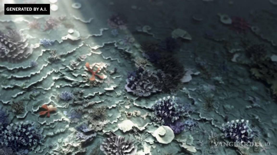 $!El mensaje este video: “Un mundo de papel magníficamente representado de un arrecife de coral, plagado de peces coloridos y criaturas marinas”.