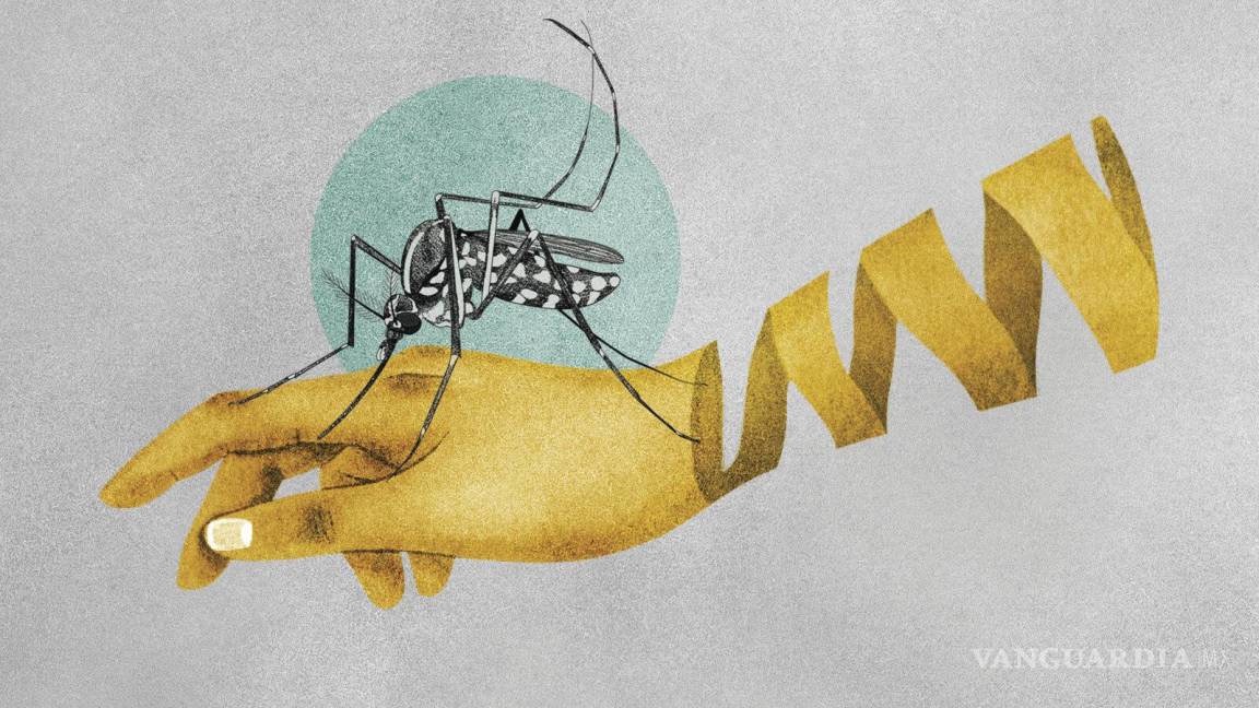 $!Ilustración sobre la malaria y los mosquitos que transmiten la enfermedad.