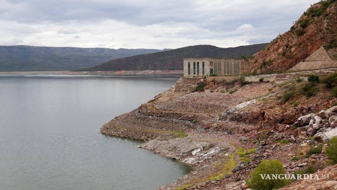 Autoriza Conagua mini ciclo agrícola en La Laguna con solo 30 mil hectáreas