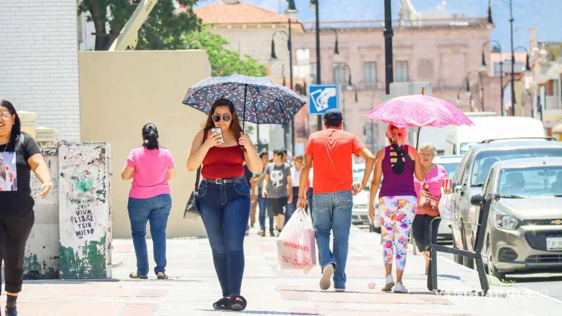 $!Llaman a evitar los periodos del día en lo que el calor es más intenso.