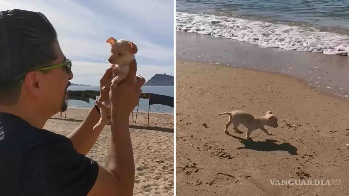 $!Historias de transformación que demuestran que la empatía también puede ser tendencia.