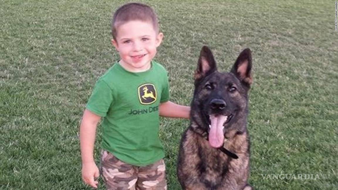 $!Por error, United Airlines envió un perro de EU a Japón